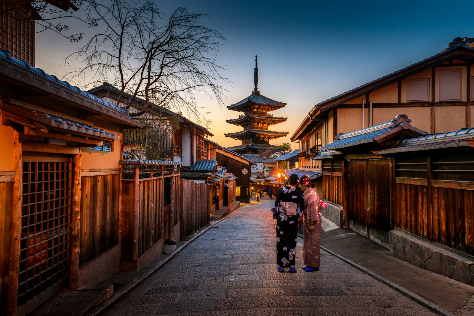 Vermilion shrine gates along a forest path in Kyoto